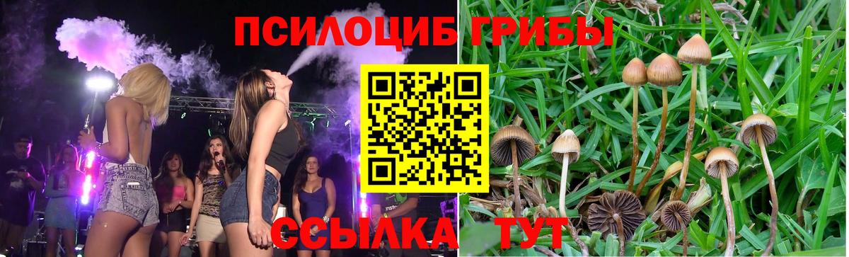 Галлюциногенные грибы MAGIC MUSHROOMS Гагарин