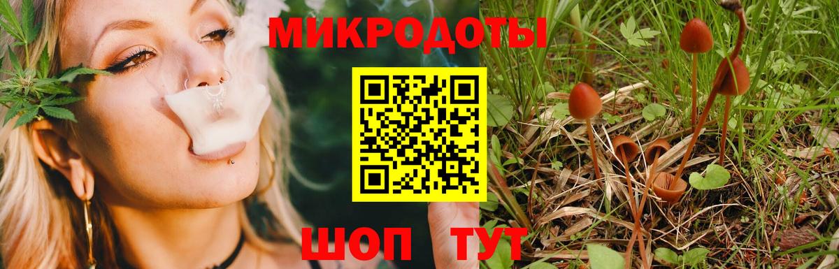 Псилоцибиновые грибы MAGIC MUSHROOMS  Галлюциногенные грибы Psilocybe  Гагарин  Вход с VPN 